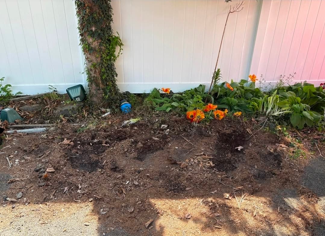 Clean garden bed area with flowers after yard waste removal